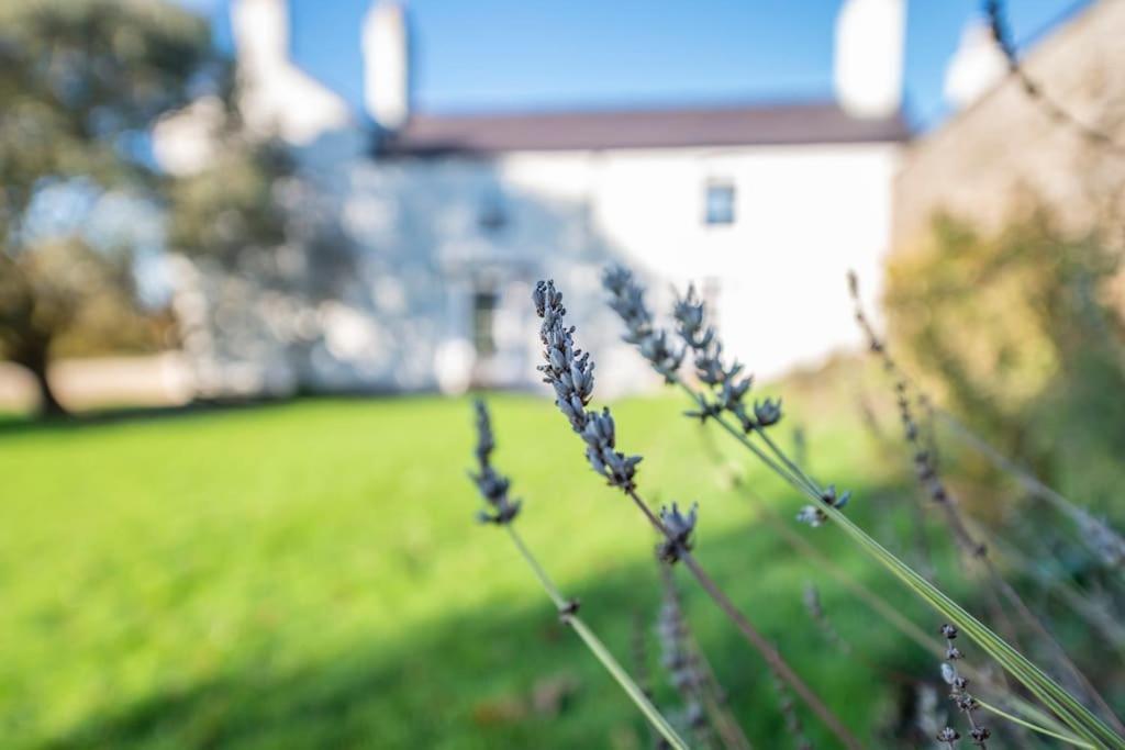Georgian Country House -Panoramic Views -Sleeps 12 Ruthin Exterior foto